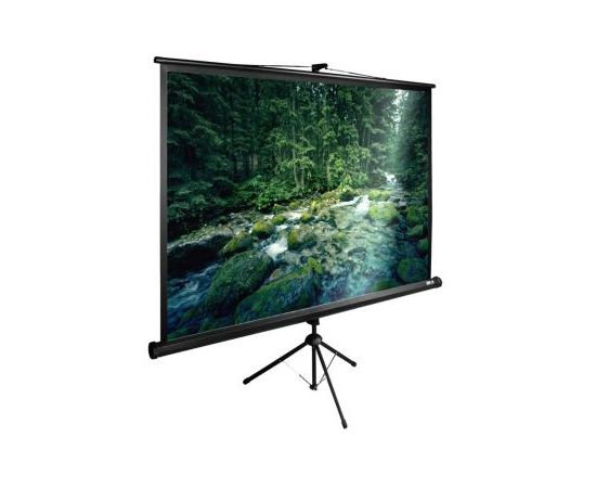  Экран Cactus 165x220см TriExpert CS-PSTE-220x165-BK 4:3 напольный рулонный черный 