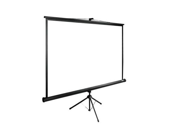  Экран Cactus 165x220см TriExpert CS-PSTE-220x165-BK 4:3 напольный рулонный черный 