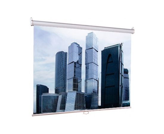 Экран Lumien 180x180см Eco Picture LEP-100108 1:1 настенно-потолочный рулонный 
