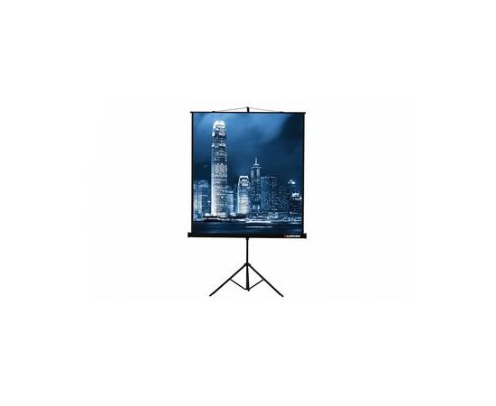  Экран на треноге Lumien 220x165см Master View LMV-100113 4:3 напольный рулонный 