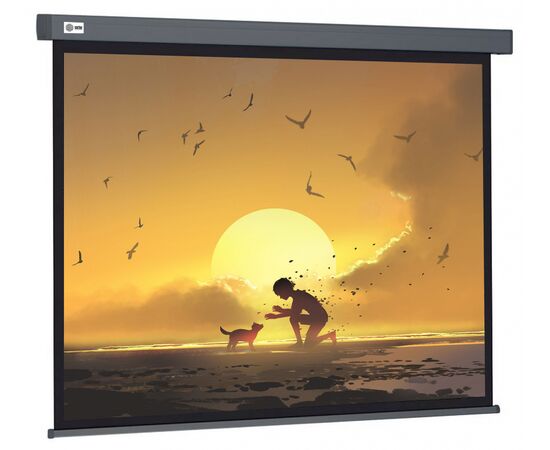  Экран Cactus CS-PSW-124X221-SG Wallscreen настенно-потолочный рулонный серый 