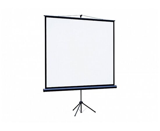  [LEV-100107] Экран на штативе Lumien Eco View 180x180см (раб.область 174х174 см) Matte White 1:1 