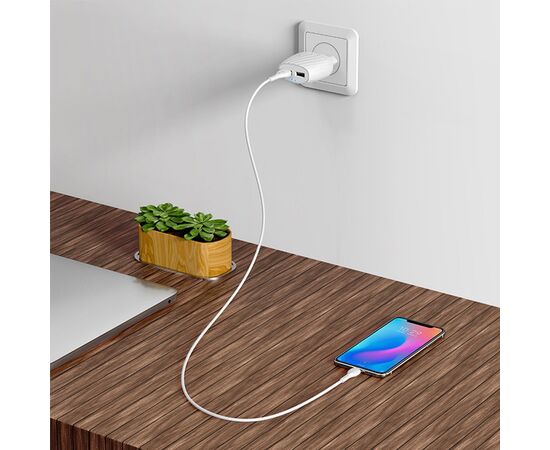  Сетевое зарядное устройство HOCO C78A Max energy 2xUSB с Кабелем USB - Micro, 2.4A, 10.8W, белый 