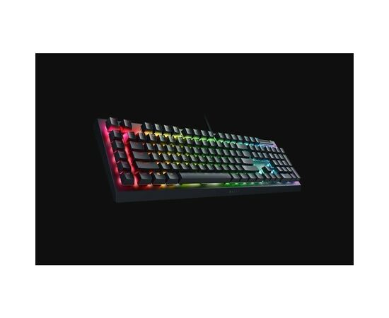  Игровая клавиатура Razer BlackWidow V4 X (Green Switch) RZ03-04700800-R3R1 