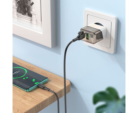  Сетевое зарядное устройство BOROFONE BA80A Scenery 1xUSB + 1xUSB-C с Кабелем Type-C - Type-C, 20W, черный 