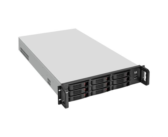  Корпус EXEGATE Pro 2U650-HS09/2U-1000ADS (EX296379RUS), 2U, 1000 Вт, черный 