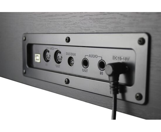  Цифровое фортепиано Solista DP200R 