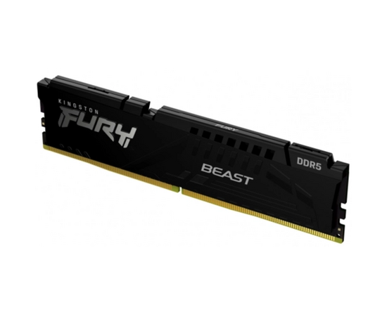  ОЗУ Kingston Fury Beast Black Expo CL36 (KF556C36BBE-16) DDR 5 DIMM 16Gb PC44800, 5600Mhz 